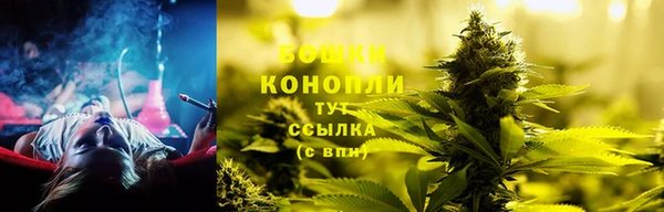 шишки Абинск