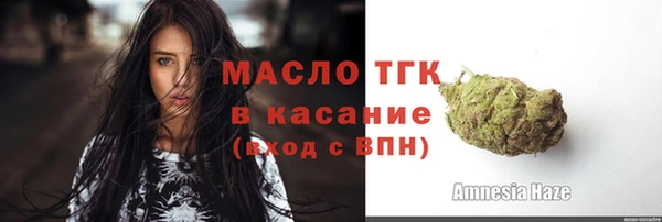 дмт Протвино